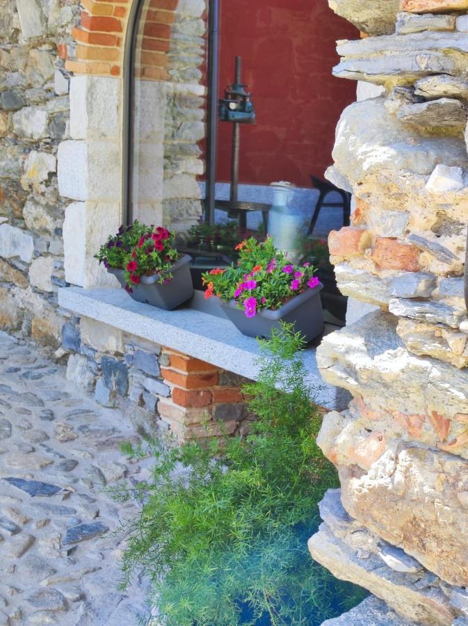 Agriturismo Il Medeghino Musso Exteriér fotografie